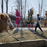 Neighborhood Watch: Cop’s Photos Capture City Charm