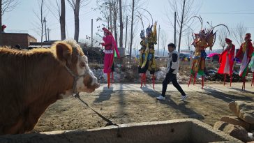 Neighborhood Watch: Cop’s Photos Capture City Charm