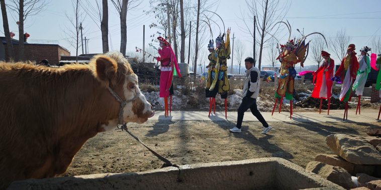 Neighborhood Watch: Cop’s Photos Capture City Charm