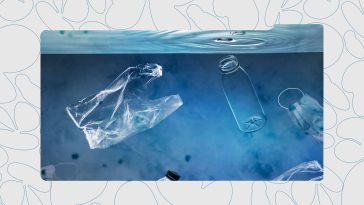 7 Everyday Items That Are Destroying The Environment (And What You Can Use Instead)