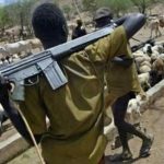 Herdsmen launch 3rd attack in 2 weeks, kill 5, kidnap 3, injure many in Imo