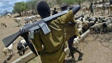 Herdsmen launch 3rd attack in 2 weeks, kill 5, kidnap 3, injure many in Imo