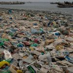 Renewed calls to end plastic pollution on World Environment Day