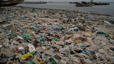 Renewed calls to end plastic pollution on World Environment Day