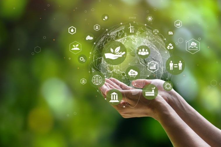 Zelene vještine u nabavi: ključ za održivu budućnost
