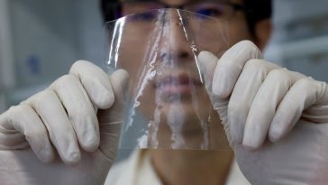Scientists develop plastic that dissolves in seawater within hours