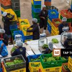 Twiga Foods halts Nairobi operations, considers new locations for distribution hub
