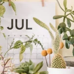 Fired US Copyright Office Chief Faces an Uphill Battle — Courts Proceedings Are Now Dragging Into July