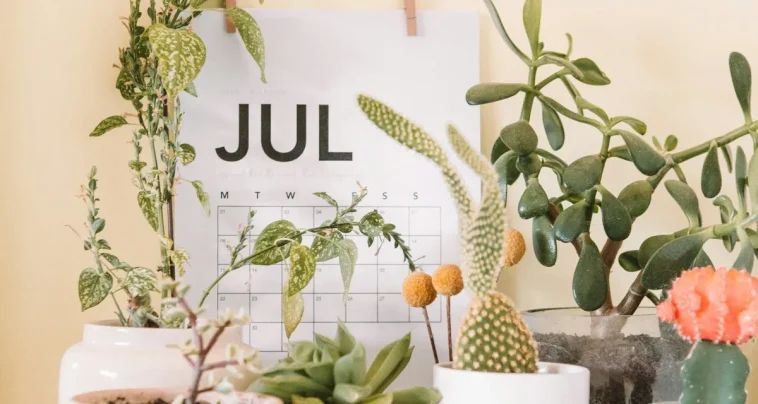 Fired US Copyright Office Chief Faces an Uphill Battle — Courts Proceedings Are Now Dragging Into July