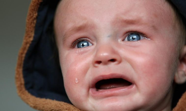 Oszuści wyłudzili niemal 15 mln zł. Wykorzystali wizerunek dziecka, które przegrało z chorobą