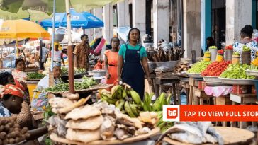 Rams, chickens, and the price of survival