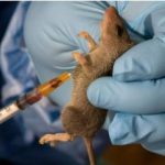 NCDC reports 142 deaths, 747 confirmed cases of Lassa fever in 18 states