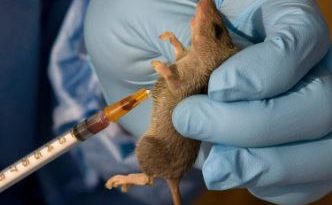 NCDC reports 142 deaths, 747 confirmed cases of Lassa fever in 18 states