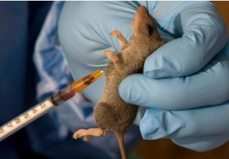 NCDC reports 142 deaths, 747 confirmed cases of Lassa fever in 18 states