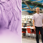 Wolfgang Tillmans im Centre Pompidou: Was man kurz vor dem Ende sieht