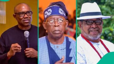 “Peter Obi is Becoming Petty’: Patrick Doyle Slams Him Over Criticism of Tinubu, Draws Reactions