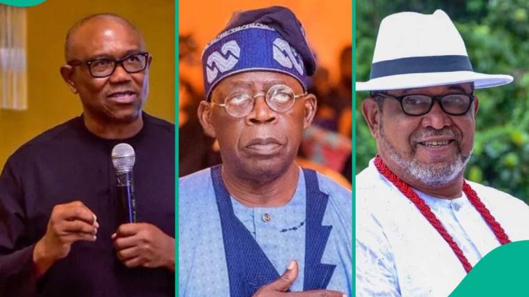 “Peter Obi is Becoming Petty’: Patrick Doyle Slams Him Over Criticism of Tinubu, Draws Reactions