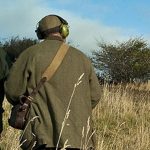 Caccia, presentata la riforma in Cdm: calendari più lunghi e nascono le imprese faunistico-venatorie