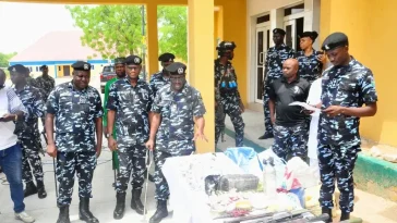 Police arrest 210, seize drugs, weapons in Borno