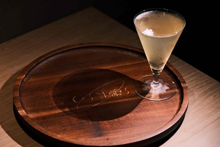Bar Cosmos – A Hidden Galaxy of Flavor
