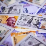 RBI forex reserves to shield India from turmoil, MPC member says