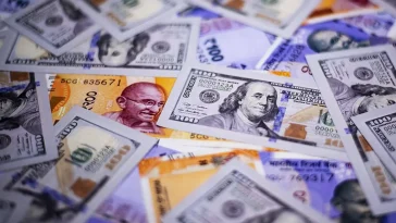 RBI forex reserves to shield India from turmoil, MPC member says