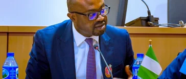 E-Visa: Nigerian govt processes over 14,000 applications within 6 weeks