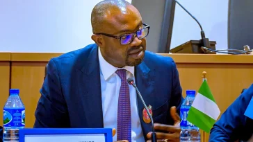 E-Visa: Nigerian govt processes over 14,000 applications within 6 weeks