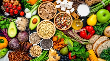 Alt Protein Watch: Calming matcha latte, UPFs, high protein chocolate and more