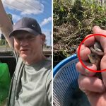 Aussie dad’s fight against invasive threat spreading ‘everywhere’ in our waterways