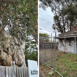Neighbourhood’s fight to save 100-year-old Aussie ‘landmark’ behind derelict home