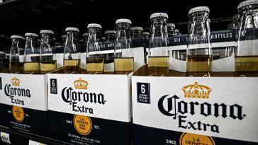 Constellation Brands says ‘socioeconomic headwinds’ are hurting beer sales, amid immigration crackdown