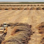 Dry Weather Forecast Calls For Higher Food Prices-And Billions In Farm Losses