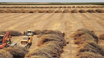Dry Weather Forecast Calls For Higher Food Prices-And Billions In Farm Losses