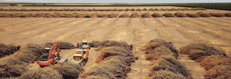 Dry Weather Forecast Calls For Higher Food Prices-And Billions In Farm Losses