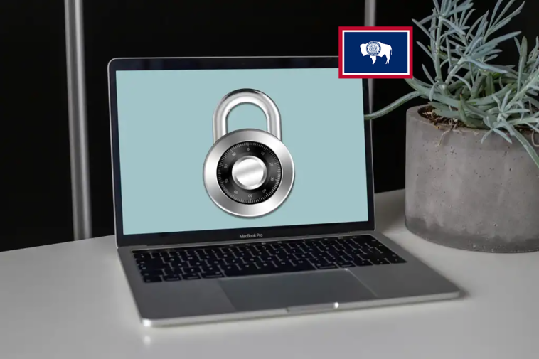 Best VPN for Wyoming: Pornhub workarounds