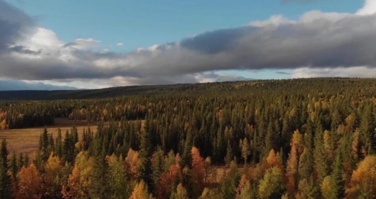 Mustang Energy receives exploration permit for 914W Uranium Project, Saskatchewan