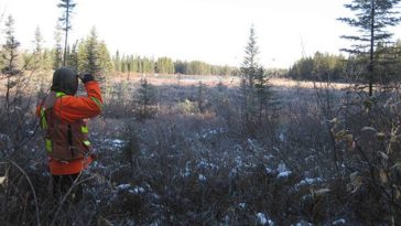 Transition Metals to resume drilling at Saturday Night Project; updates Pike Warden Project, Yukon