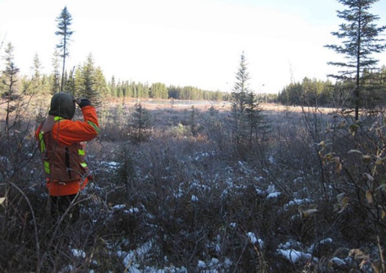 Transition Metals to resume drilling at Saturday Night Project; updates Pike Warden Project, Yukon