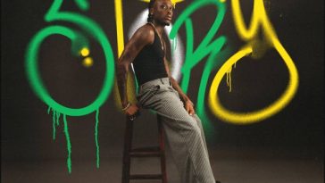 Fireboy DML – Story Ft. Take A Daytrip