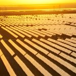 4.6B Years On, the Sun Is Having a Moment