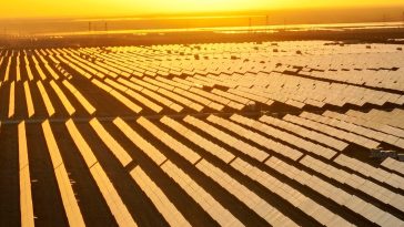 4.6B Years On, the Sun Is Having a Moment