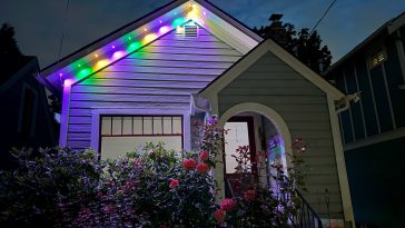 I put up these holiday lights last year—and they’re not coming down