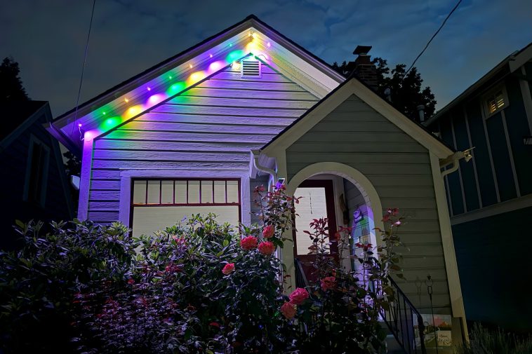 I put up these holiday lights last year—and they’re not coming down