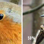 I’m more proud of these 128 kilobytes than anything I’ve built since