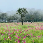 ‘เที่ยวไทยคนละครึ่ง’ 11 วันแรก คนแห่จองสิทธิแล้วกว่า 9 หมื่นสิทธิ ยอดคงเหลือ 4 แสนสิทธิ