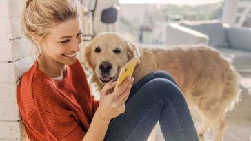 ¿Qué tipos de Seguro de Mascotas ofrece Línea Directa?