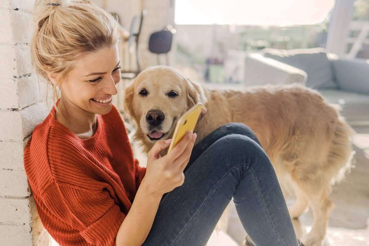 ¿Qué tipos de Seguro de Mascotas ofrece Línea Directa?