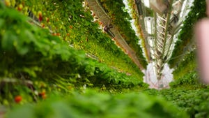 Dyson Reveals Futuristic Farming Vision