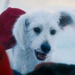 Krypto’s Star Turn in Superman Sparks Surge in ‘Adopt a Dog Near Me’ Google Searches — and James Gunn Sounds Delighted